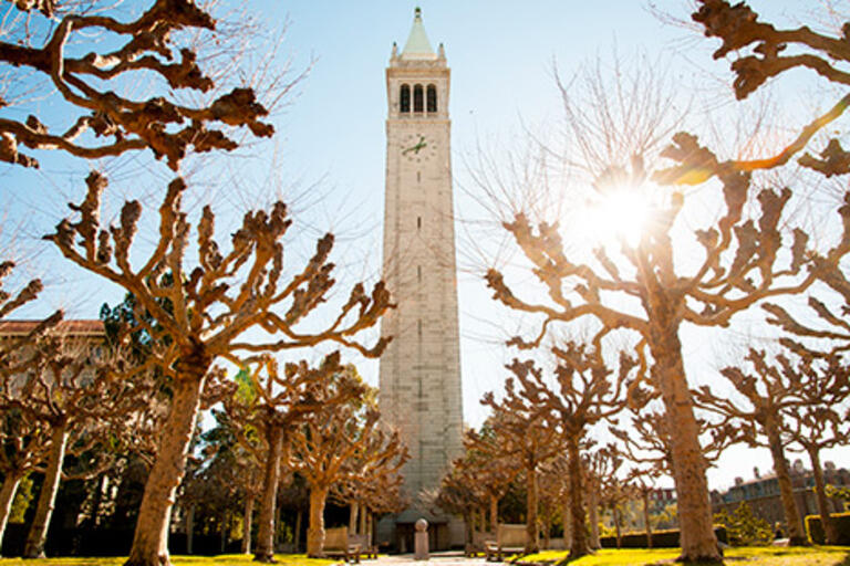 View of the campanile from the campanile esplanade with trees lining the walkway in the foreground and the campanile in the background