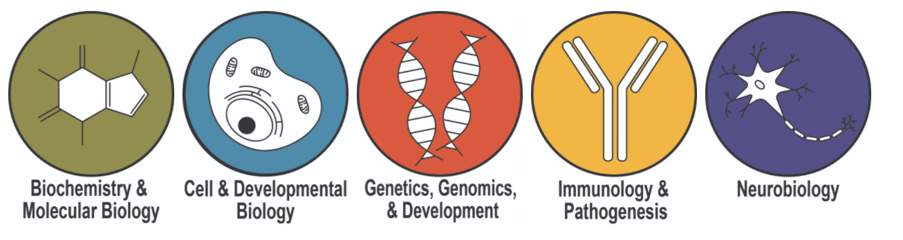 Biochemistry and molecular biology, cell and developmental biology, genetics genomics and development, immunology and pathogenesis, neurobiology 