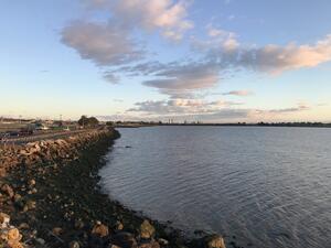 berkeley marina during the late afternoon 