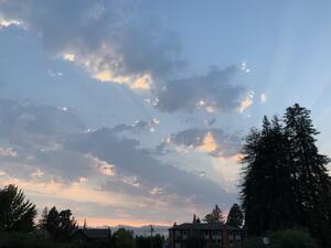 sky and trees at clark kerr