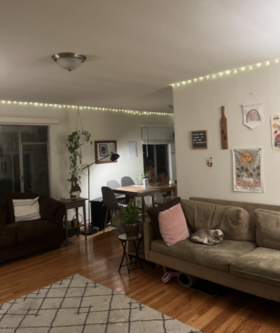 dimly lit apartment living room with a couch and pattered rug and colorful wall art 